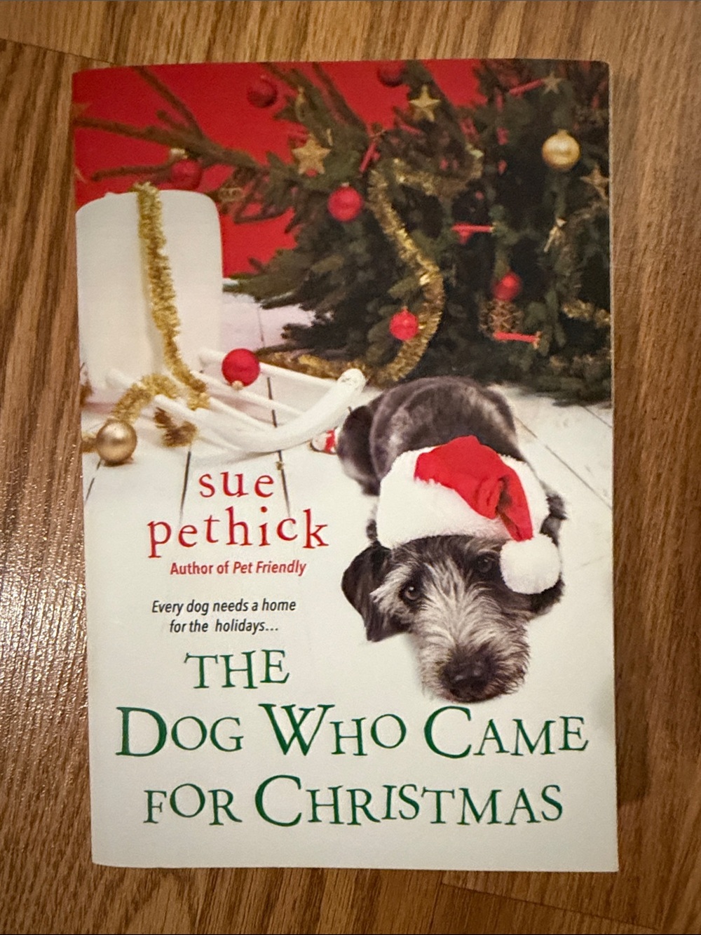 The Dog Who Came for Christmas — Holiday Dog Book (Red)